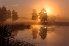 Schindl-Morgenstimmung-Lueneburger-Heide