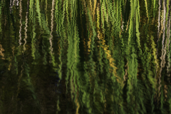 Strkturen-im-Wasser_Ernst