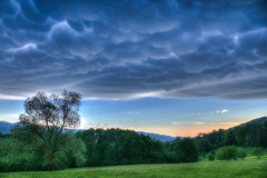 HansPeter-Mammatuswolken