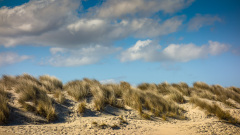 Heinz-Willi-Duenenlandschaft