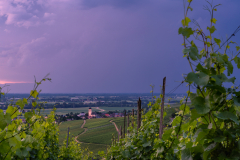 Nach-dem-Gewitter_Hans