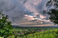 Nach-einem-Gewitter_Hans