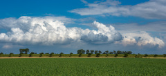 Wolken_Heinz-Willi