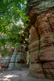 Pfaelzerwald_Richtung_Buhlsteinpfeiler