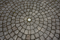 Monoton-Friedbert-3