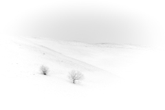 Schindl-Er-Kaiserstuhl-im-WINTER-1