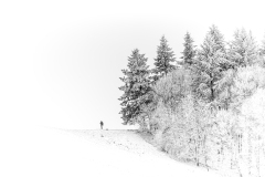 Schindl-Er-Kaiserstuhl-im-WINTER