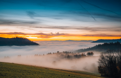 NSC-Pferde-nah-und-durch-den-Nebel-so-fern