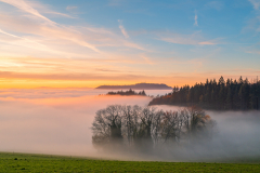 NSC-tannen-so-nah-und-doch-so-fern