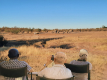 Siggi-Platz-in-der-ersten-Reihe