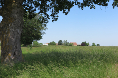 Werfl-Heijo-2
