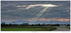 Lichtblick-Reinhard