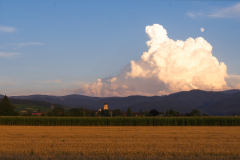 Krebs-Ageballte-Kraft-ist-immer-vergaenglich