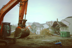 MartinaK_Abrissbirne