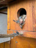 Schindl-Eli-Fund-nach-Kurzurlaub