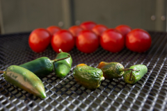 Knobel-Stillleben-2026-001