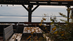 MSA-Herbst-Chiemsee