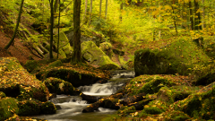 MSA-Karlstalschlucht-Pfalz