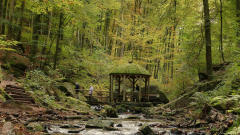 Siggi-Karlstalschlucht-in-der-Pfalz