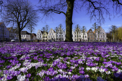 Schindl-Er-Natur-Architektur