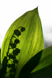 Licht und Schatten