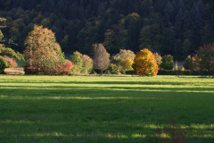 KR-Boerger-Wiese-Grunern