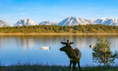 Krebs-A-Grand-Teton-NP