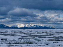 Krebs-A-Yellowstone-See