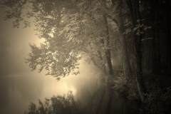 MartinaK_Herbstmorgen