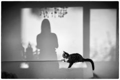 MartinaK_Schattenspiel