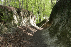 Siggi-Hohlweg-am-Kaiserstuhl