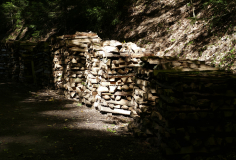 Siggi_jede-Menge-Holz