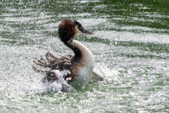 Anja-G-WASSER