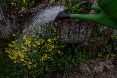 Knobel-F-Endlich-Wasser-2026-005