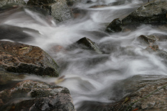 MartinaK_Bachlauf