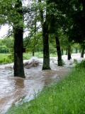 RHA-Hochwasser-Neumagen