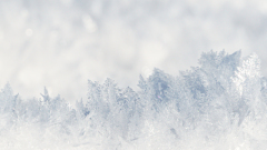 Schindl-Eli-Schnee-Eiskristalle