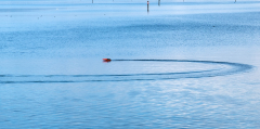 Sibylle-Wasserspiele