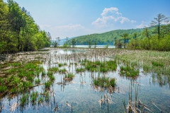 Thielen-Plitvicer-Seen_Wasserlandschaft