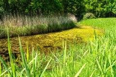 Thielen-Wassergraben
