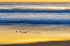 Hans-Strandlaeufer-im-Abendlicht