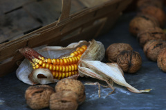 MartinaK_Stilleben