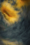 Nici-Acryl-oder-Fotgrafie