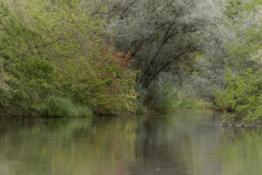 Schindl-Ernst-3