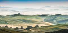 Bild auf der Internetseite _Fotoforum Community + FFF_Themenabend "Kultivierte Landschaften"