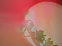 Vergez-Phantombild-Elisa