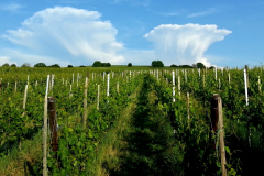 RM-Wolken-am-Batzenberg