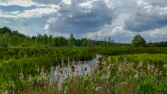 NSG-Kempen-Broek-4