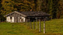 P1001767