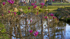 Tour-Mundenhof_09